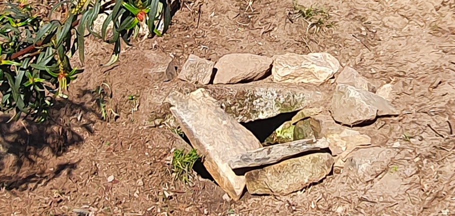Fuente del testerillo