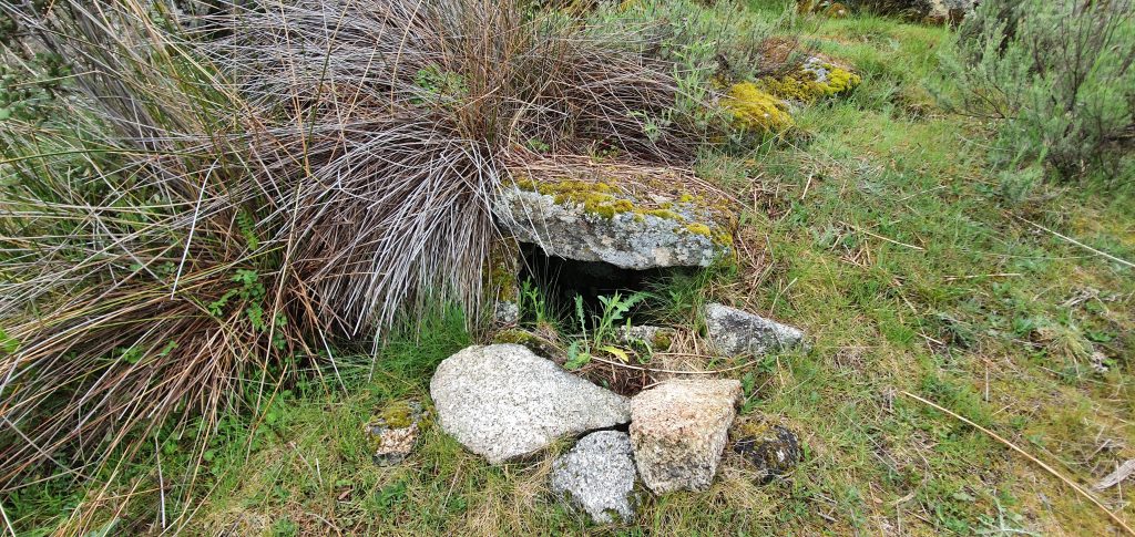 Fuente pajarilla
