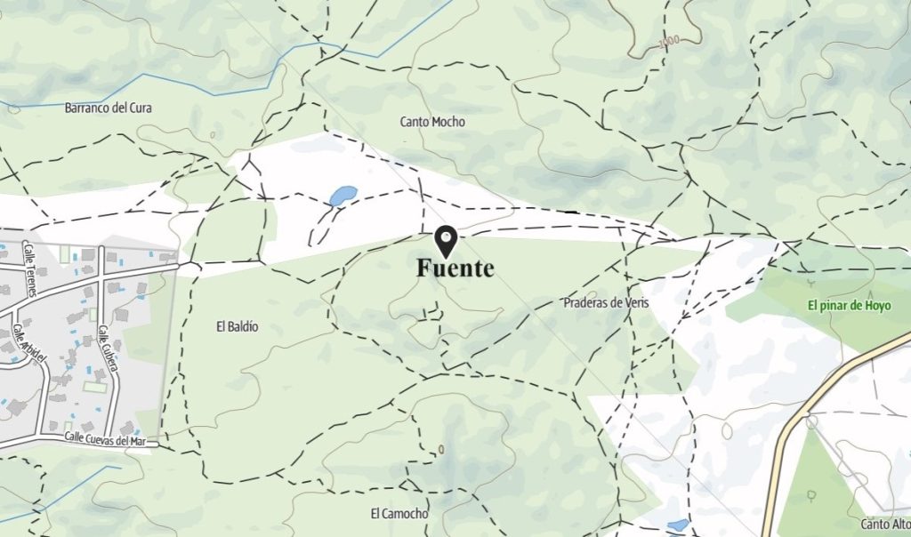 Fuente pajarilla