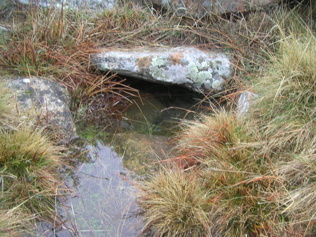 Fuente pradera matarrubia
