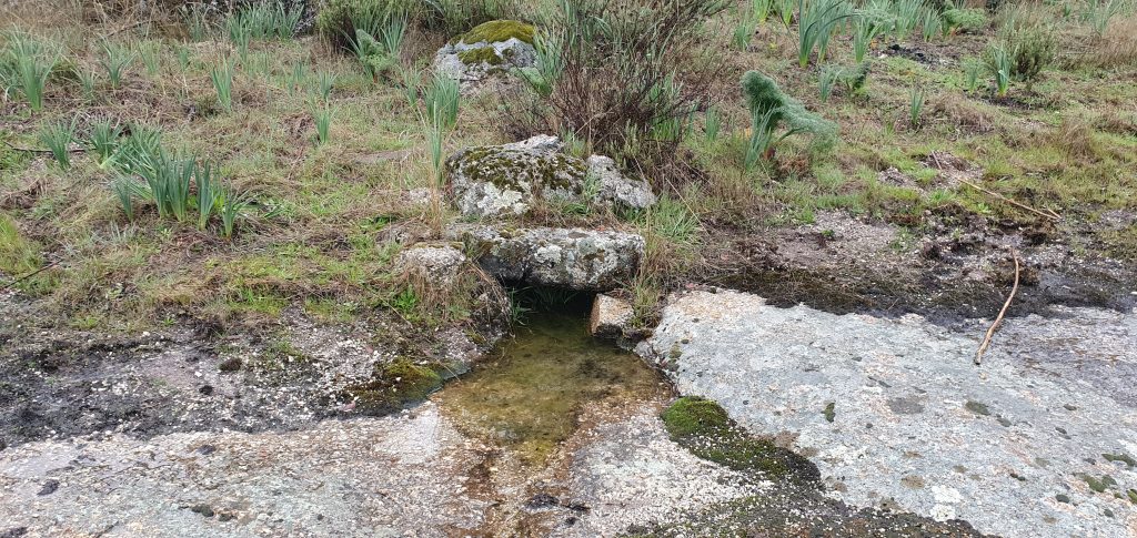 Fuente Corral del Estudiante