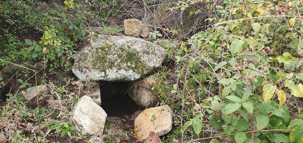 Fuente los loberillos