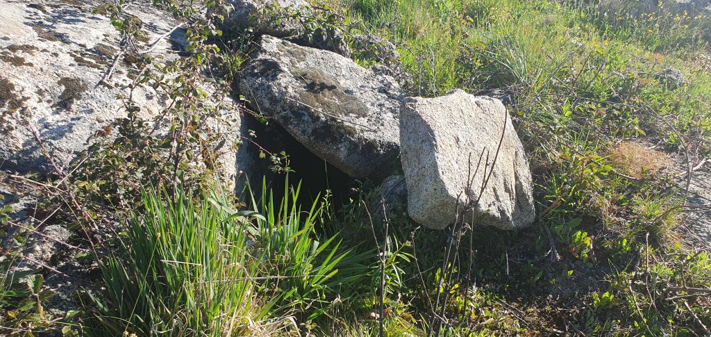 Fuente monte ejido